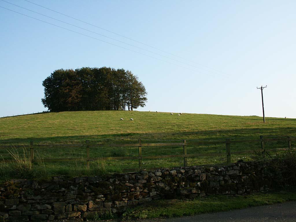 3 bedroom detached house To Let in Ribble Valley - IMG_2555.JPG